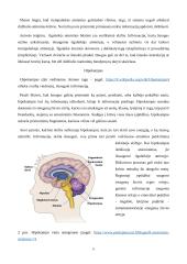 Namų darbas. Atmintis. Neuromokslai 4 puslapis