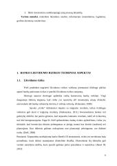 Investavimo į nekilnojamąjį turtą perspektyvų tyrimas 5 puslapis