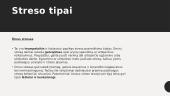 Skaidrės apie stresą 6 puslapis