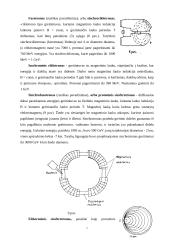 Dalelių greitintuvai 6 puslapis