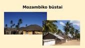 JAV ir Mozambiko palyginimas 11 puslapis