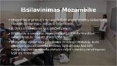 JAV ir Mozambiko palyginimas 3 puslapis