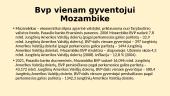 JAV ir Mozambiko palyginimas 5 puslapis