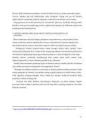 Dalykinės komunikacijos standartai ieškant veiklos partnerių Airijos respublikoje 13 puslapis