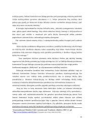 Dalykinės komunikacijos standartai ieškant veiklos partnerių Airijos respublikoje 6 puslapis