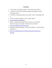 Dalykinio bendravimo ypatumai Maroke 12 puslapis