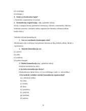 Dalykinio bendravimo ypatumai Maroke 14 puslapis