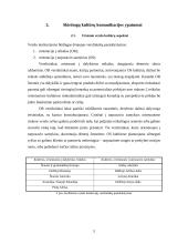 Dalykinio bendravimo ypatumai Maroke 5 puslapis