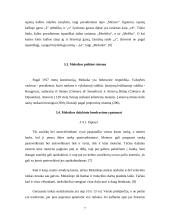 Dalykinio bendravimo ypatumai Maroke 7 puslapis