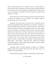 Dalykinio bendravimo ypatumai Maroke 8 puslapis