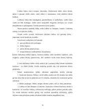 Dalykinio bendravimo ypatumai Maroke 10 puslapis