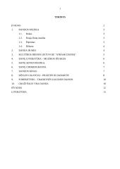 Danijos muzika 2 puslapis