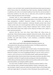 Ekonomikos pažintinės praktikos ataskaita 8 puslapis