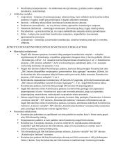 Konstitucijos egzamino klausimai 2 puslapis