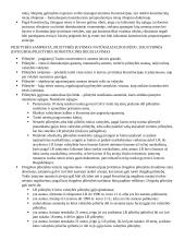 Konstitucijos egzamino klausimai 11 puslapis