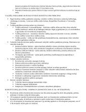 Konstitucijos egzamino klausimai 3 puslapis