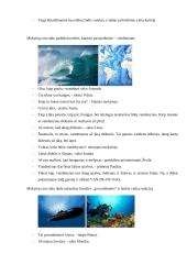 Didaktinis žaidimas 2 puslapis