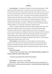 Kriptovaliutos Helium veikimo principai ir panauda 2 puslapis