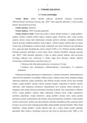 Kriptovaliutos Helium veikimo principai ir panauda 6 puslapis