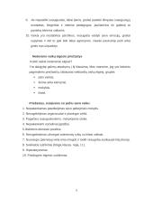 Darbas su rizikos grupėmis: negatyvūs ir delinkventiniai vaikai 4 puslapis