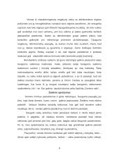 Darbas su rizikos grupėmis: negatyvūs ir delinkventiniai vaikai 7 puslapis