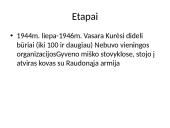 Partizaninis judėjimas 3 puslapis