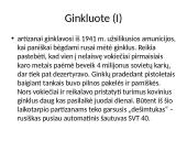 Partizaninis judėjimas 6 puslapis