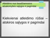 Atleidimas nuo baudžiamosios atsakomybės 10 puslapis