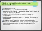 Atleidimas nuo baudžiamosios atsakomybės 12 puslapis