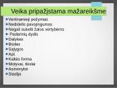 Atleidimas nuo baudžiamosios atsakomybės 19 puslapis