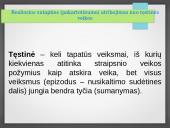 Nusikalstamų veikų daugetas (sutaptis) 12 puslapis