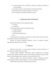 Darbo drausmė ir jos užtikrinimo priemonės 11 puslapis