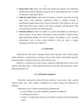 Darbo drausmė ir jos užtikrinimo priemonės 13 puslapis