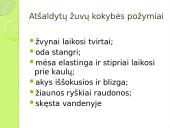 Atšaldytos žuvies gabenimas 2 puslapis