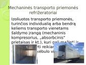 Atšaldytos žuvies gabenimas 6 puslapis