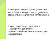 Atšaldytos žuvies gabenimas 7 puslapis