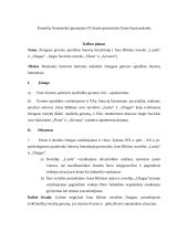 Žmogaus gerumo apraiškos lietuvių literatūroje. Kalbos planas