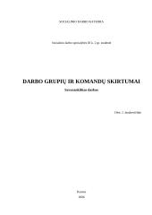 Darbo grupių ir komandų skirtumai