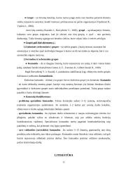 Darbo grupių ir komandų skirtumai 11 puslapis
