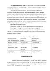 Darbo grupių ir komandų skirtumai 6 puslapis