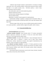 Darbo grupių ir komandų skirtumai 8 puslapis
