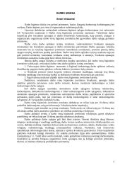 Darbo higiena 3 puslapis