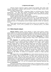 Darbo higiena 4 puslapis