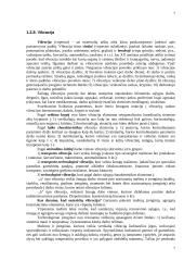 Darbo higiena 7 puslapis