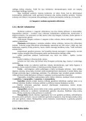 Darbo higiena 8 puslapis