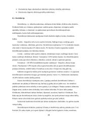 Esminiai darbo ir civilinės saugos klausimai 18 puslapis