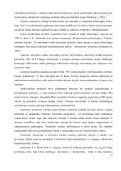 Informacinių technologijų įtaka nuotolinių studijų kokybei  13 puslapis