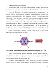Informacinių technologijų įtaka nuotolinių studijų kokybei  15 puslapis