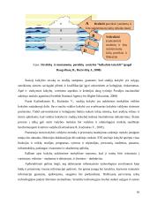 Informacinių technologijų įtaka nuotolinių studijų kokybei  18 puslapis