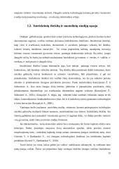 Informacinių technologijų įtaka nuotolinių studijų kokybei  19 puslapis